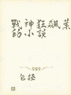 战神狂飙叶无缺的小说