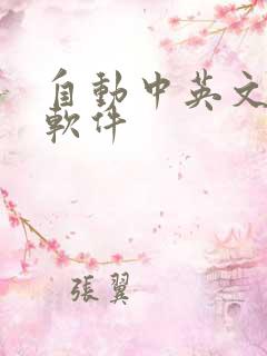 自动中英文翻译软件