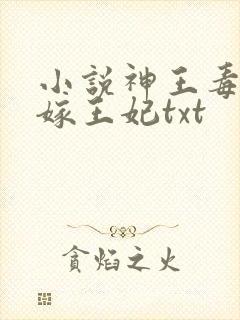 小说神王毒宠二嫁王妃txt