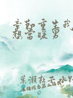 章节重生我真没想当暖男