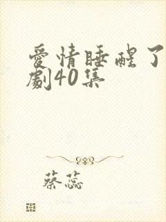 爱情睡醒了电视剧40集