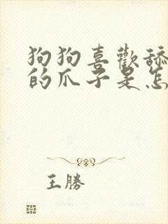 狗狗喜欢舔自己的爪子是怎么回事