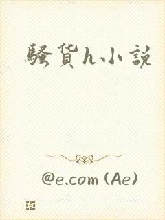 骚货h小说