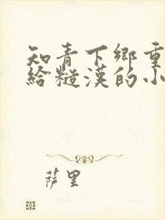 知青下乡重生嫁给糙汉的小说