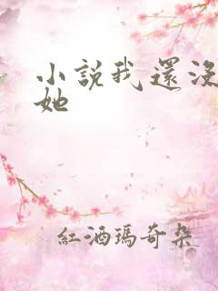 小说我还没摁住她