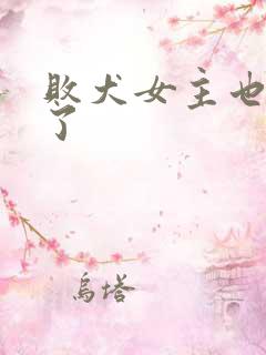 败犬女主也太多了