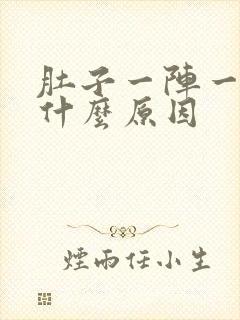 肚子一阵一阵痛什么原因