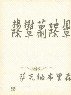 杨树苗地用什么除草剂除草
