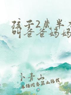 孩子2岁半不会叫爸爸妈妈