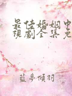 最佳婚姻中文电视剧全集免费观看