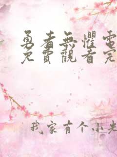 勇者无惧电视剧免费观看完整版高清