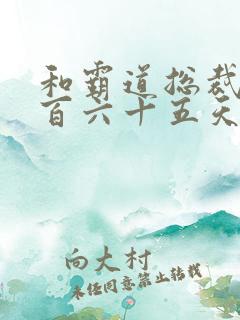 和霸道总裁的三百六十五天第二部