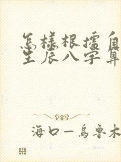 怎样根据自己的生辰八字算命