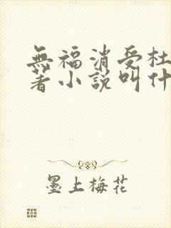 无福消受杜沁原著小说叫什么名字
