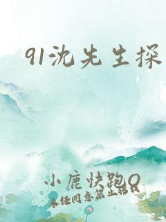 91沈先生探花