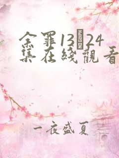 余罪13―24集在线观看
