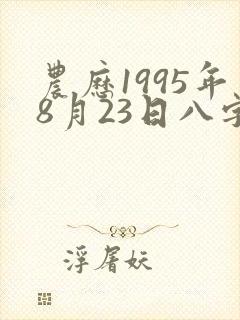 农历1995年8月23日八字算命
