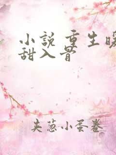 小说 重生暖婚甜入骨