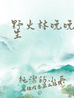 野火林晚晚林潮生