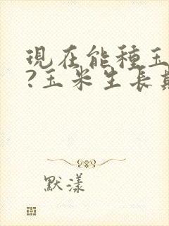 现在能种玉米吗?玉米生长期多少庆?