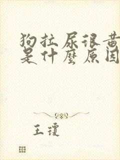 狗拉尿很黄很臭是什么原因
