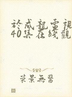 于成龙电视剧第40集在线观看