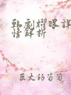 韩剧耀眼详细剧情解析