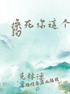 操死你这个小母狗
