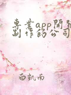专业app开发制作的公司