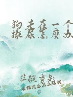 狗老在一个地方撒尿怎么办