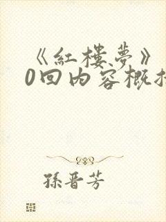 《红楼梦》前20回内容概括.