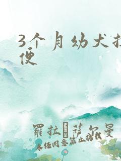 3个月幼犬拉软便