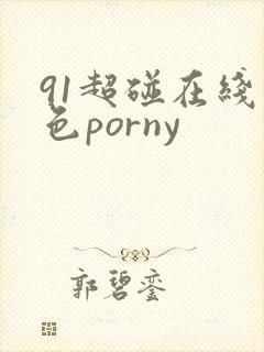 91超碰在线九色porny