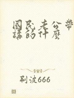 国民老公带回家讲的什么