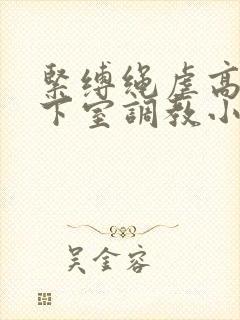 紧缚绳虐高潮地下室调教小说