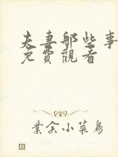 夫妻那些事高清免费观看