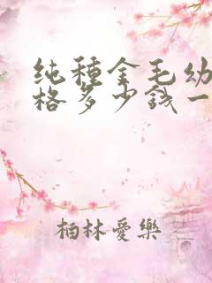 纯种金毛幼犬价格多少钱一只