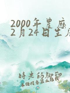 2000年农历2月24日生辰八字
