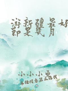 游新疆最好的季节是几月