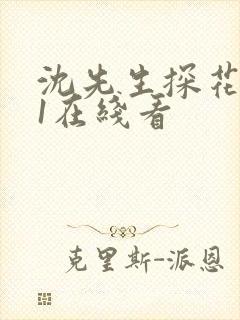 沈先生探花…91在线看