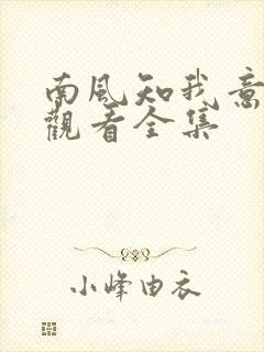 南风知我意免费观看全集