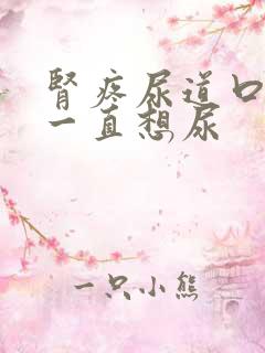 肾疼尿道口刺痛一直想尿