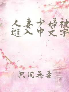 人妻少妇被猛烈进入中文字幕,