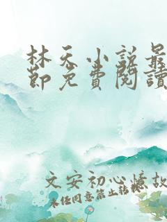 林天小说最新章节免费阅读全文