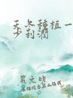 天冬种植一亩多少利润