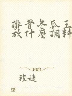 排骨冬瓜玉米汤放什么调料