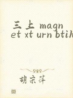 三上 magnet xt urn btih