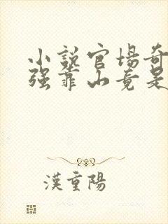 小说官场奇才最强靠山竟是我自己李澜在线