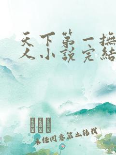 天下第一抚琴的人小说完结版