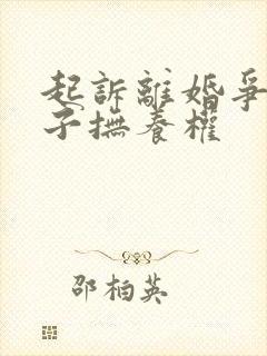 起诉离婚争取孩子抚养权